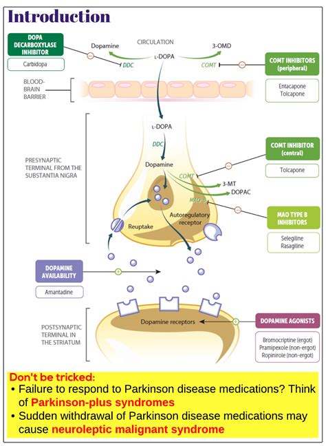 Parkinson Disease Medications Medicine Keys For Mrcps