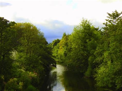 River Lagan Walks. Part Sixteen. | Photography