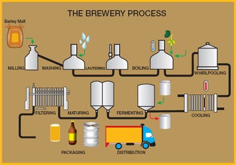 Learn The Step By Step Process Of Brewing Beer