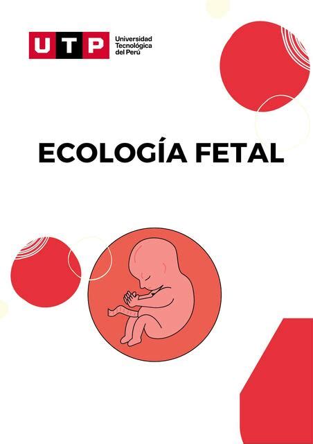 Ecología Fetal TWOCA ALANYA uDocz