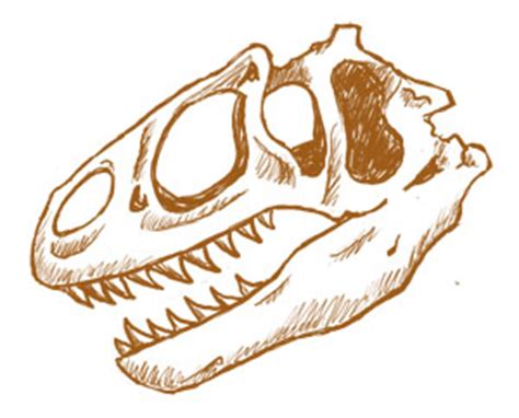 Dinosaur Fossil Drawing At Paintingvalley Explore Collection Of