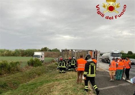 Strage Di Galline Sull A A Seguito Del Ribaltamento Di Un Tir Che