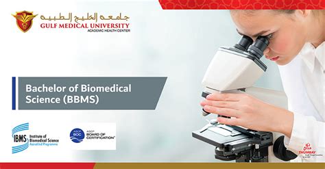 Bachelor Of Biomedical Science Program BBMS GMU