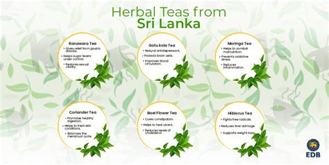 Herbal Tea Varieties from Sri Lanka - EDB Sri Lanka