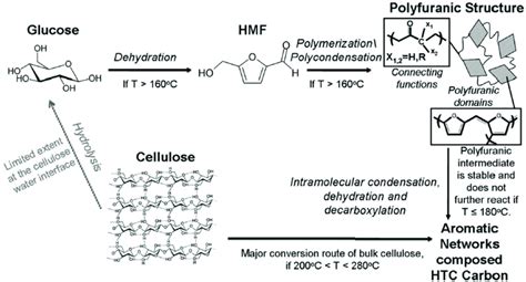 Hydrothermal Carbonization