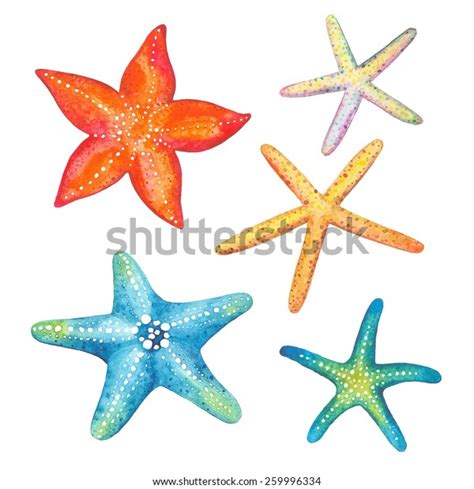 Collection Starfish Watercolor Vector Illustration Stock Vector ...