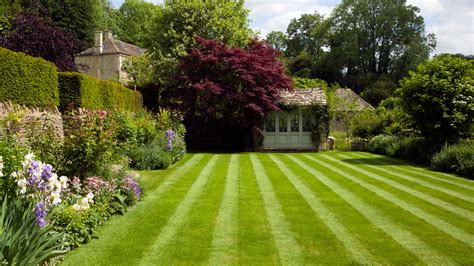 Expert reveals tip for perfect lawn stripes | Gardeningetc