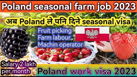 Poland Seasonal Work Visa 2023 Poland Fruit Picking Jobs For Nepali