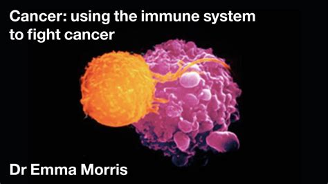 Cancer Using The Immune System To Fight Cancer Dr Emma Morris Youtube