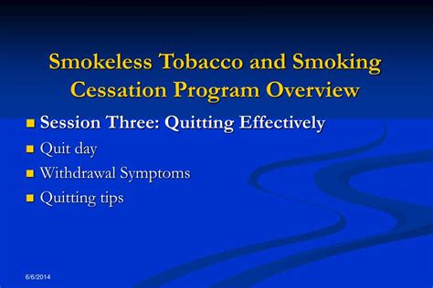 PPT Smokeless Tobacco And Smoking Cessation Program PowerPoint