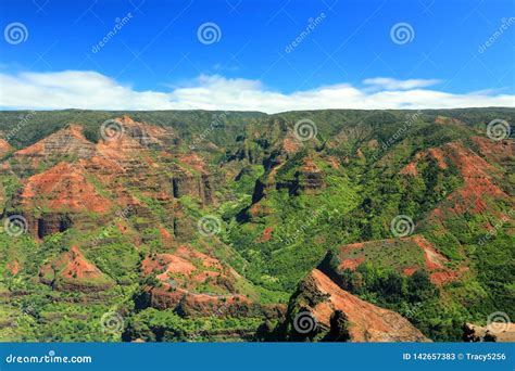 Waimea Canyon State Park stock image. Image of pacific - 142657383