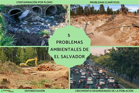 5 Problemas Ambientales De El Salvador Causas Y Consecuencias