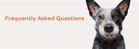 Faqs Australian Pet Organics