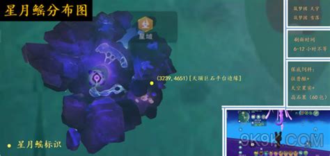 创造与魔法星域地图攻略大全创造与魔法攻略9k9k手游网