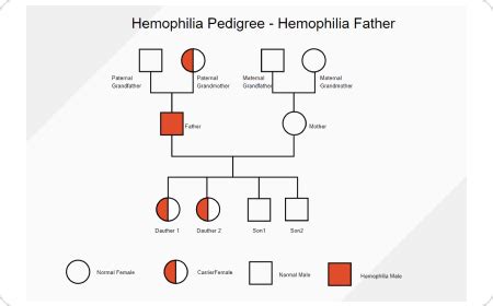 free online pedigree maker Free pedigree chart maker with free templates