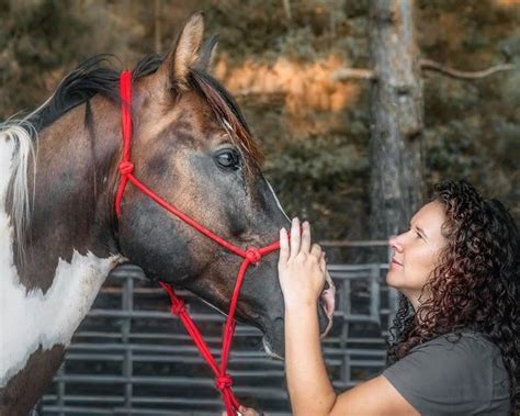 Horse Plus Humane Society