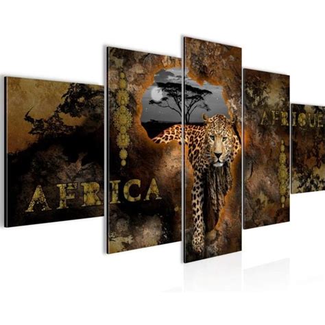 Tableau Mural Afrique Carte Parties Impression Sur Toile Intissee