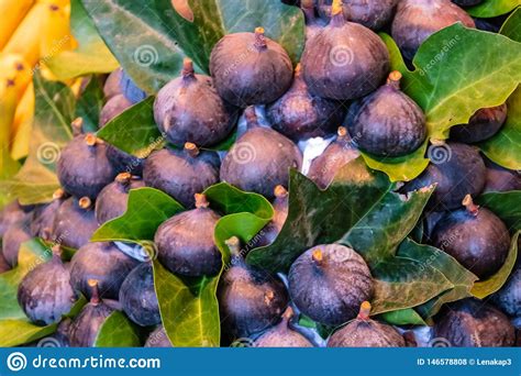 Un Manojo De Las Frutas Frescas Ficus Carica Con Las Hojas Imagen Del