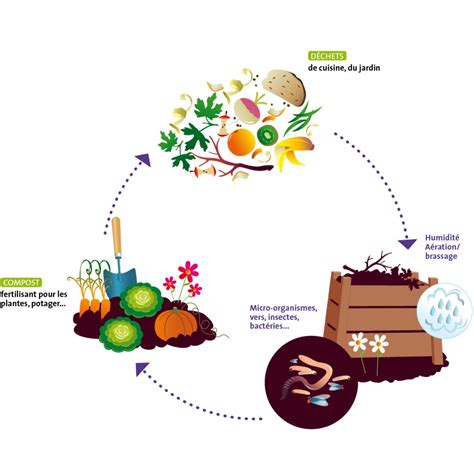 Les 5 Règles Du Zéro Déchet Composter Mélie Co O P