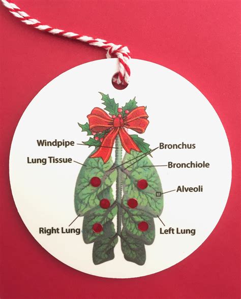 Holiday Medical Ornaments Gretchen Neal Artist Medical Ornament