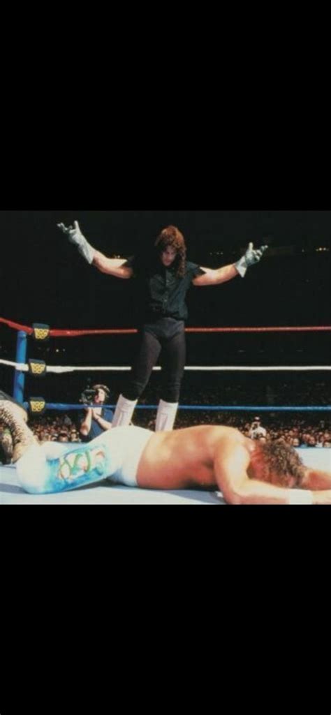 The Undertaker Vs Jake The Snake Roberts Jake The Snake Roberts