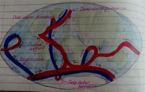 My reflections on Climate Change: Thermohaline Circulation