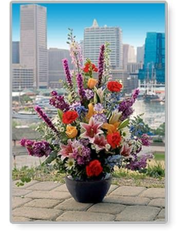 Flowers In Baltimore Maryland | Best Flower Site