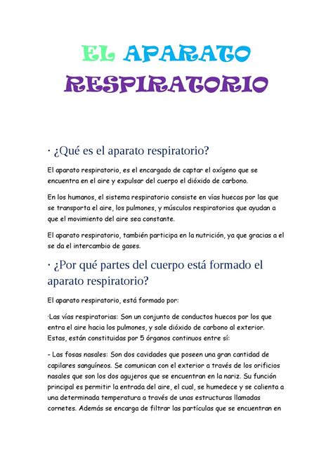 El Aparato Respiratorio By Dpbgeo Issuu