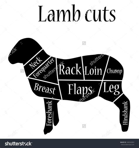 Lamb Cuts Diagram and Butcher Chart