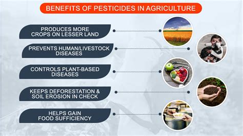 😱 Advantages of pesticides. The Advantages and Disadvantages of Pesticides. 2022-10-19