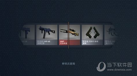 Csgo开箱模拟器 V271 免费pc版csgo开箱模拟器电脑版 好玩软件