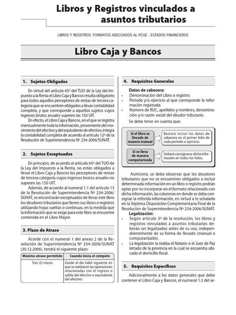 Libro Caja Y Bancos F11 Rlaa Pdf Contabilidad Bancos