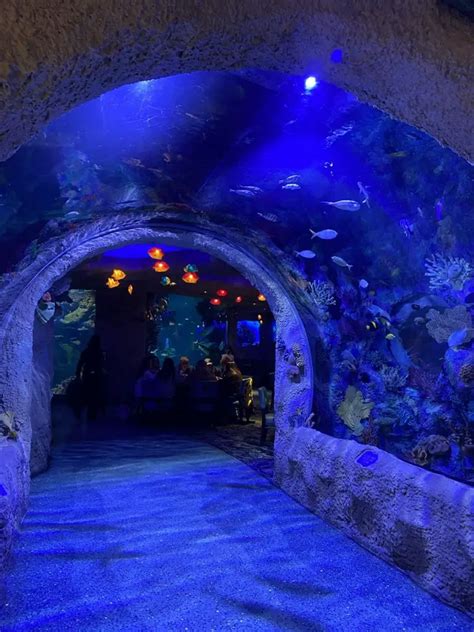 Aquarium Restaurant In Nashville, TN Pictures.