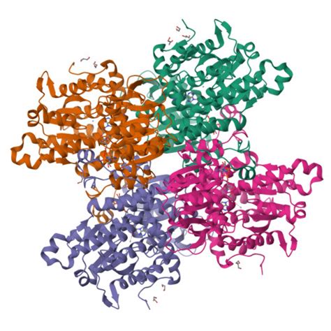 RCSB PDB 7ZD1 Crystal Structure Of Pseudomonas Aeruginosa S Adenosyl