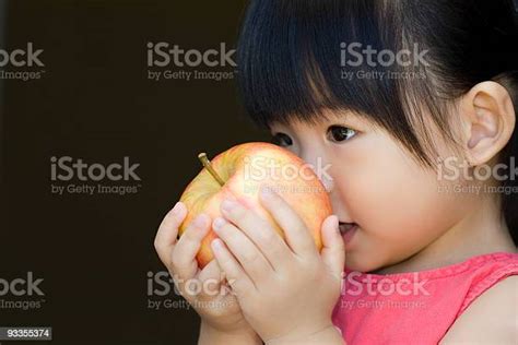 어린 아동 쥐다 빨간색 사과나무 아이에 대한 스톡 사진 및 기타 이미지 아이 냄새 맡기 사과 Istock