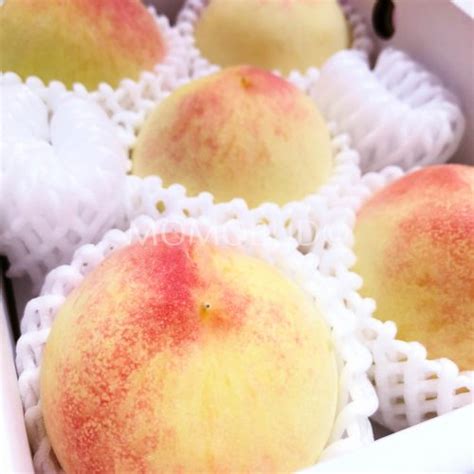 Japanese Saga Greenhouse Hakuhou White Peach Gift Box Momobud