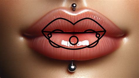 Can You Hide A Vertical Labret Piercing Infoupdate Org