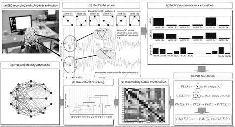 Infographic Unlocking The Brain S Potential Olartemoure