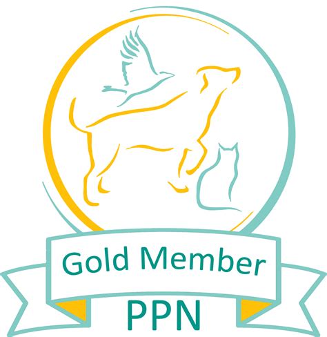 Dog Training & Behaviour | Todmorden | Parker and Pooch