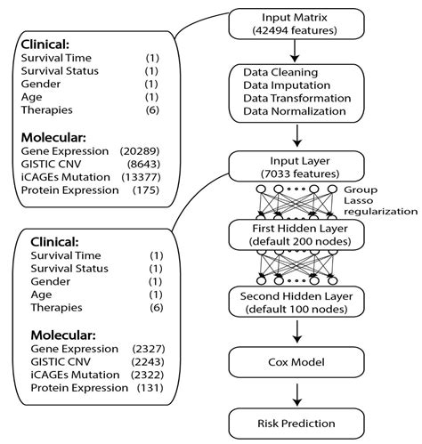 Genes Free Full Text Group Lasso Regularized Deep Learning For