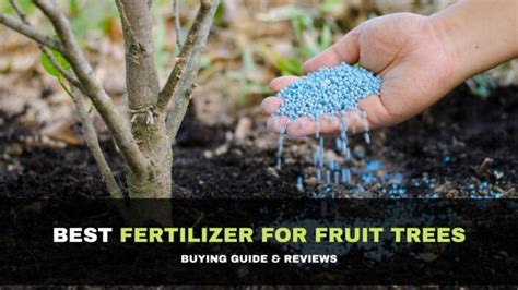 8 Best Fertilizer For Fruit Trees 2021 Buying Guide And Reviews