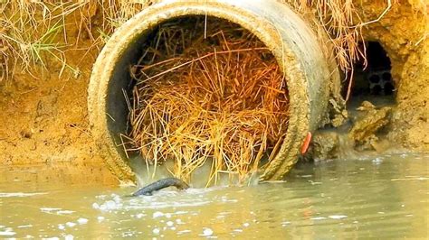 Unclogging Culvert Pipe Drain Water Removing All Trash Clogged