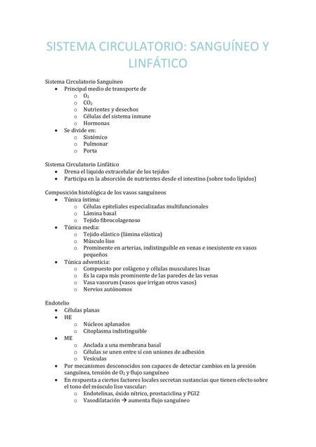 Sistema Circulatorio Estudia Con Su Udocz