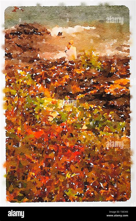 Watercolor of fall colors along the North Shore of Lake Superior ...