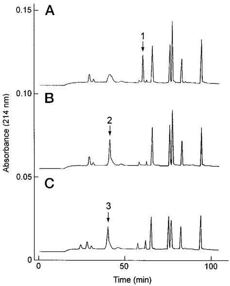 Elution Profiles Of The Peptides After Lysylendopeptidase Digestion Of Download Scientific