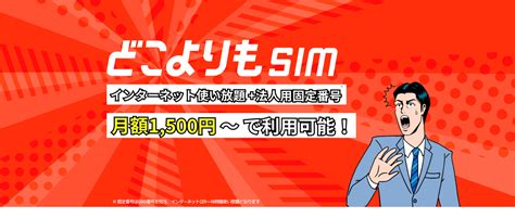 どこよりもsim評判と口コミ・レビュー Pr Haco