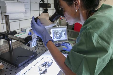 Le rôle de la médecine légale à lhôpital