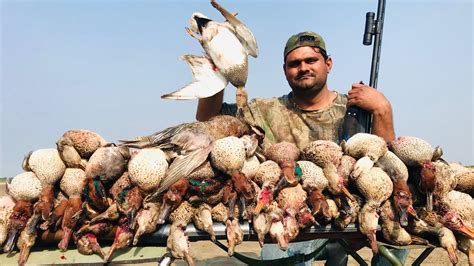 Duck Hunting Murghabi Ka Shikar Duck Hunting In Pakistan Youtube