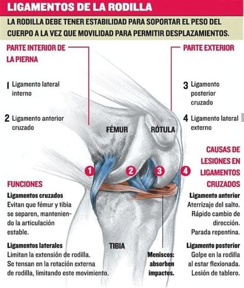 Lista 95 Foto Imágenes De Tumor En La Rodilla El último