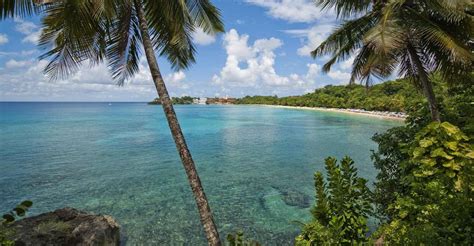 Sosua: Beach Day and Stand Up Paddle Boarding | GetYourGuide